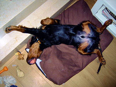 Jack 9 februari 2008